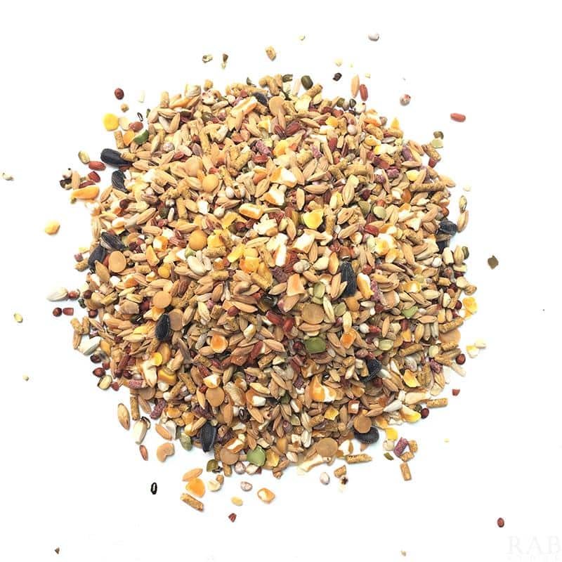 Anh em cần ghi nhớ tỷ lệ chuẩn để trộn ngũ cốc cho gà đá 