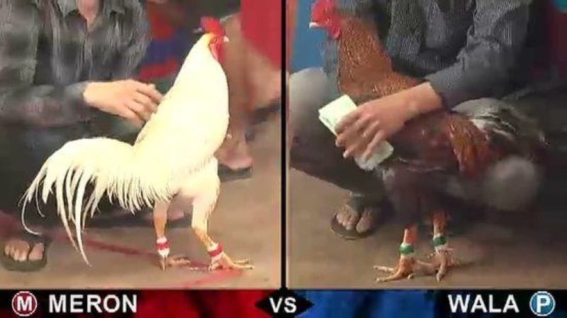 Các kèo cược sẽ do nhà cái đưa ra để anh em lựa chọn 