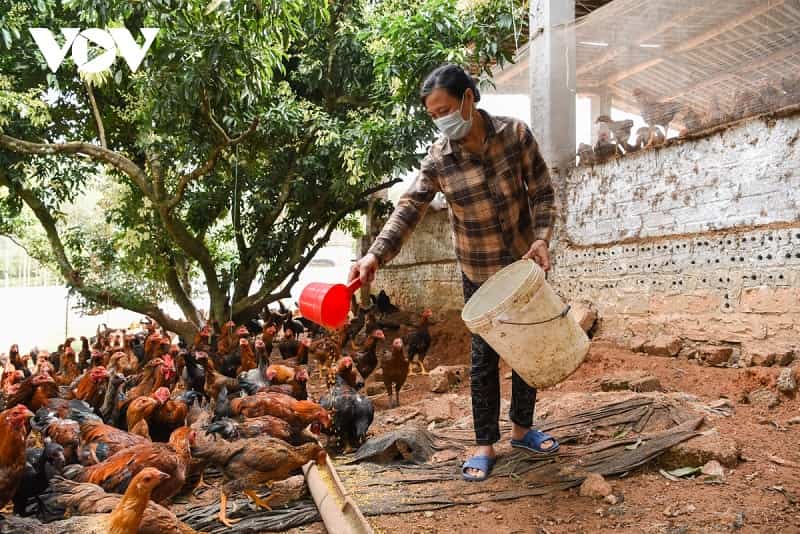 Lựa chọn những nguyên liệu phù hợp với tài chính hiện có