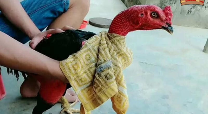 Tập trung khâu vệ sinh đảm bảo